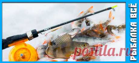 Ловля окуня на балансир зимой - fishing-all.ru