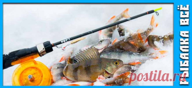 Ловля окуня на балансир зимой - fishing-all.ru