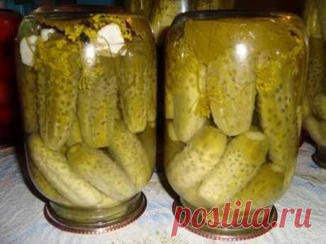 Консервированные огурцы, не требующие стерилизации! - Любители украинской кухни_ОБЪЕДИНЯЙТЕСЬ! - Группы Мой Мир