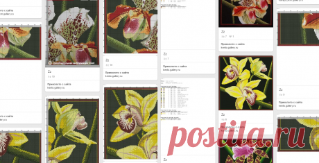 ♡Flores en punto de cruz♡☆♡Cross stitch flowers♡ в Pinterest