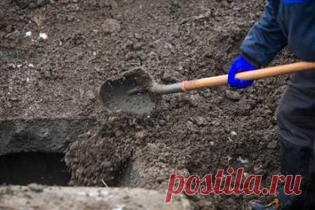 Могильщики нашли более тысячи древних серебряных монет