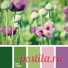 (4) Pinterest: scopri e salva idee creative