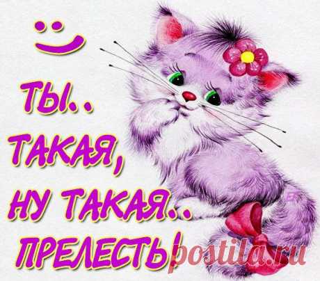 0_9eb94_bab128ef_XL (570×500)