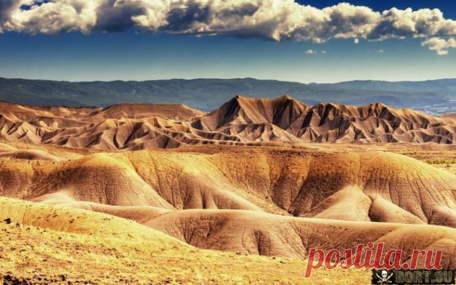 пустыня: