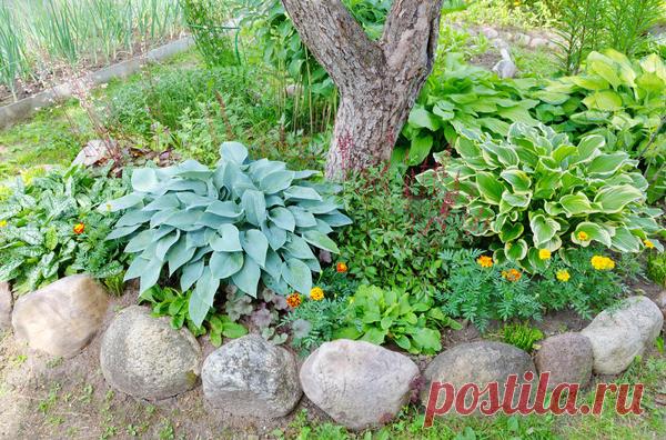 10 идей креативных бордюров для цветника: оригинально, быстро и почти даром