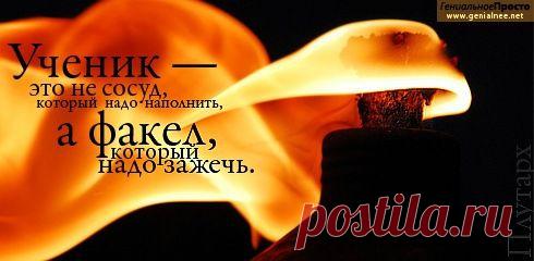 афоризмы в картинках | 165 фотосуреттер