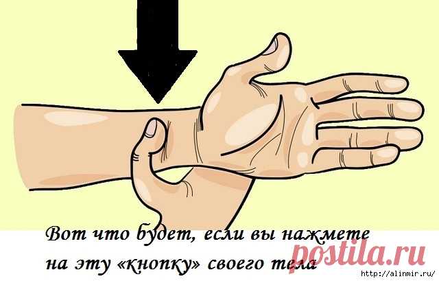 Мир удивительного и восхитительного