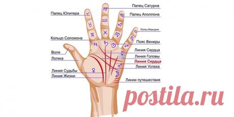 Что означают линии на ладони - как правильно толковать, описание с пояснениями и фото Если знать, что означают линии на ладони, можно предсказать свою судьбу и предотвратить жизненные трудности. Освойте основы хиромантии для начинающих, научитесь читать изгибы рук.