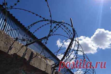 Выживальщик сбежал из тюрьмы по простыням. В США опасный преступник, обвиняемый в поджоге, грабеже и участии в угоне автомобиля и других тяжких преступлениях, бежал из тюрьмы по простыням. Полиция предупредила местных жителей, что мужчина обладает навыками выживания и мог укрыться в лесу. За информацию о местонахождении преступника объявлено вознаграждение.