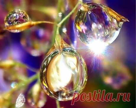 ИТАК, ЗДРАВСТВУЙТЕ! Олег Гонтарев &quot;Утро хрустальное...&quot; | Поэтический канал &quot;БЛИЖЕ, БЛИЖЕ&quot; | Яндекс Дзен