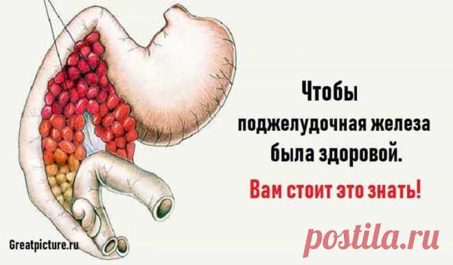 Чтобы поджелудочная железа была здоровой.Вам стоит это знать!