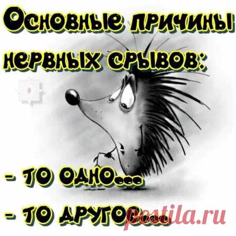 Не стоит включать телевизор и мозг одновременно. Это несовместимые вещи, как камин и кондиционер - медиаплатформа МирТесен