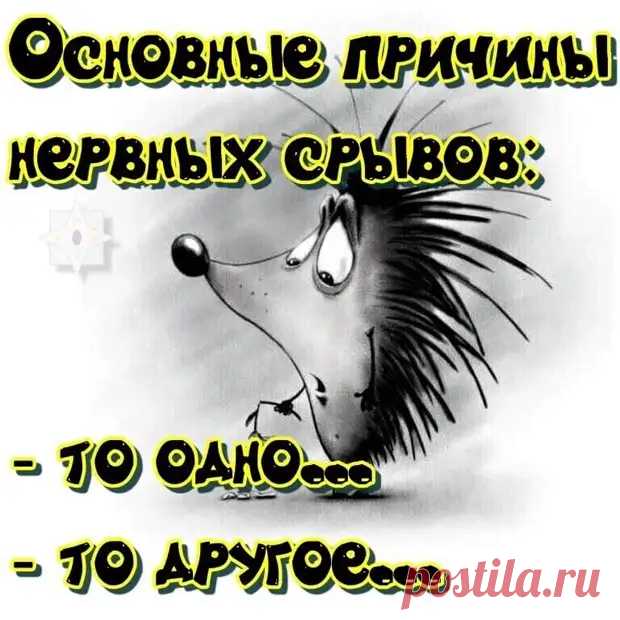 Не стоит включать телевизор и мозг одновременно. Это несовместимые вещи, как камин и кондиционер - медиаплатформа МирТесен