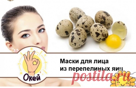 Секреты красоты. Маски из перепелиных яиц Эликсир молодости для кожи. Разбираем, чем они полезны + рецепты красоты...Чем полезны:&nbsp;Лецитин: Увлажняет и питает кожу. 💧&nbsp;Аминокислоты: Стимулируют выработку коллагена. 🧬&nbsp;Витамины группы B: Улучшают цвет лица и борются с воспалениями. ✨&nbsp;Как использовать❓:&nbsp;1....