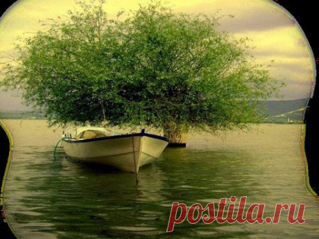 Раиса Орлова добавила фотографию в альбом А лето цвета неба-огромное и синее. а...