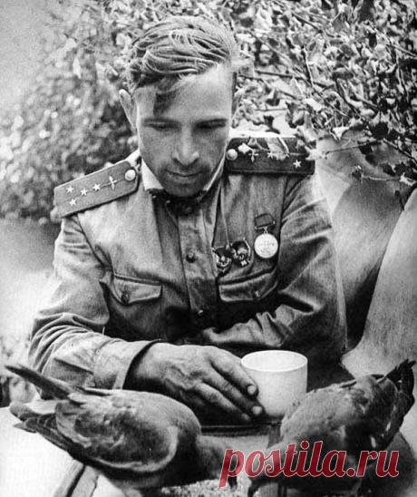 В День Победы • НОВОСТИ В ФОТОГРАФИЯХ