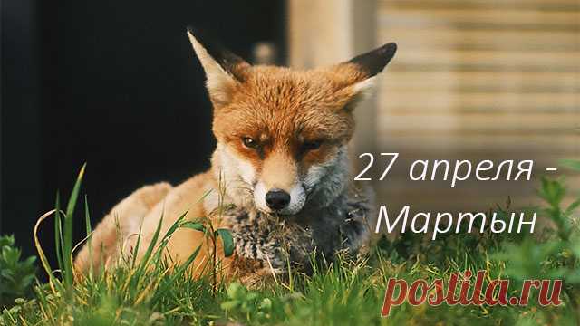Приметы и запреты 27 апреля в день Мартына, Мартын-лисогон. Что надо сделать 27 апреля, а что делать не стоит по поверьям и приметам