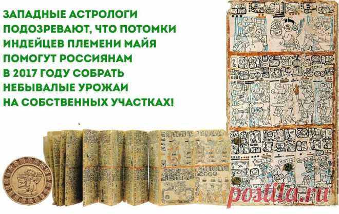 Российский садовод. №11 от 01.11.2016