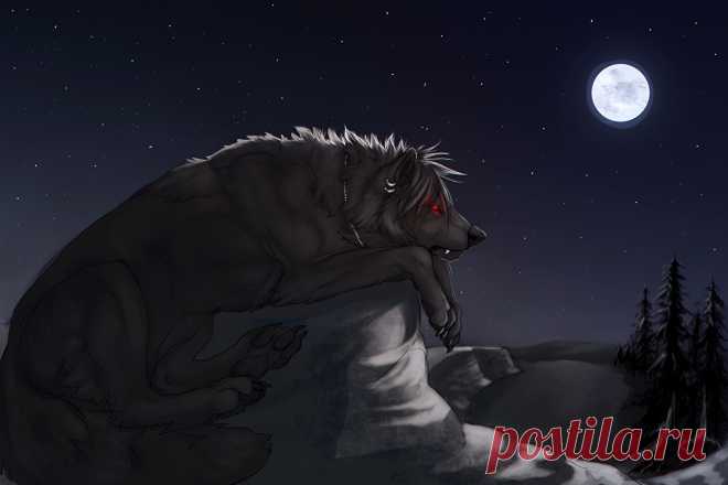 Картинка Волки Фантастика Луна Ночь Волшебные животные
