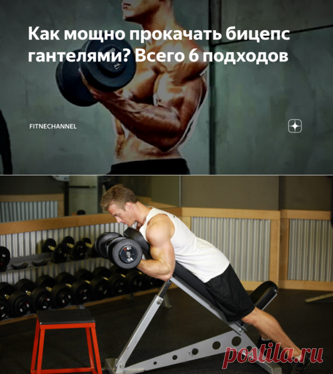 Как мощно прокачать бицепс гантелями? Всего 6 подходов | fitnechannel | Яндекс Дзен