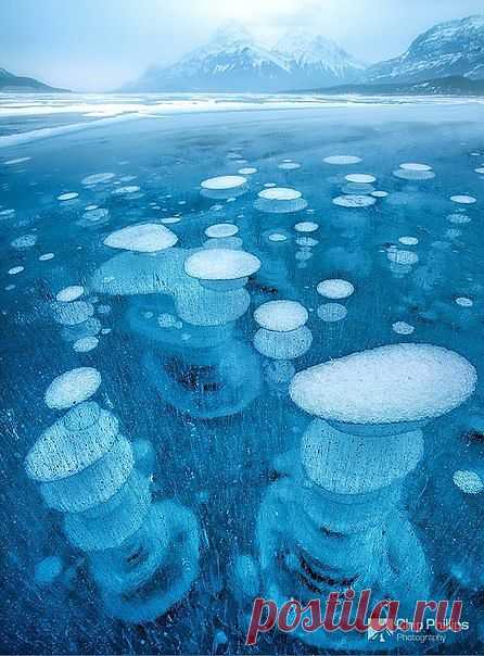 Замерзшие озера, иссушающие пустыни, удивительные по красоте национальные парки Северной Америки в фотографиях Чипа Филлипса