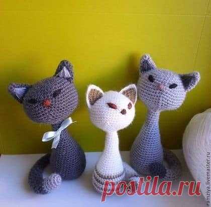 Сиамские котики