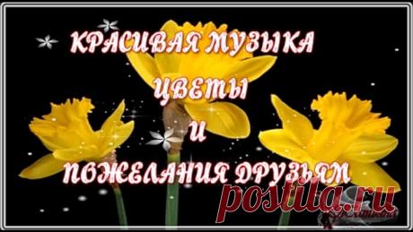 КРАСИВАЯ МУЗЫКА, ЦВЕТЫ И ПОЖЕЛАНИЯ ДРУЗЬЯМ ЦВЕТОЧНОЕ НАСТРОЕНИЕ