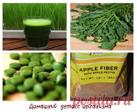 Как почистить организм в домашних условиях? 4 суперпродукта для удаления токсинов, тяжелых металлов, вредных химических веществ - Блог о красоте и здоровье
