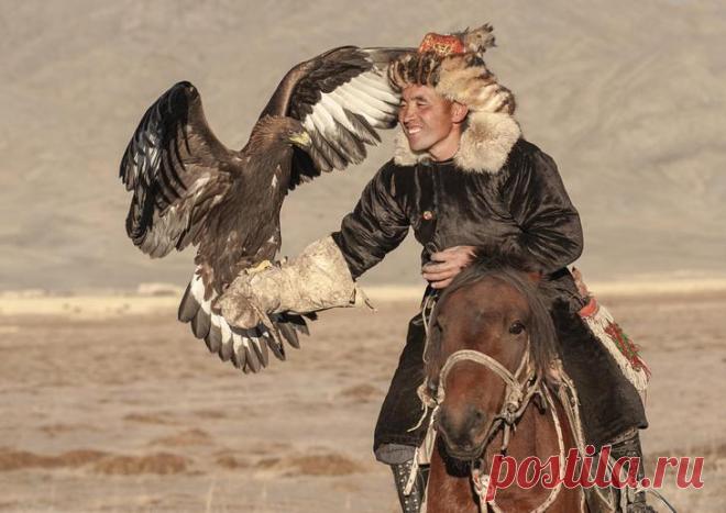 Удивительные фотографии орлиной охоты в Монголии