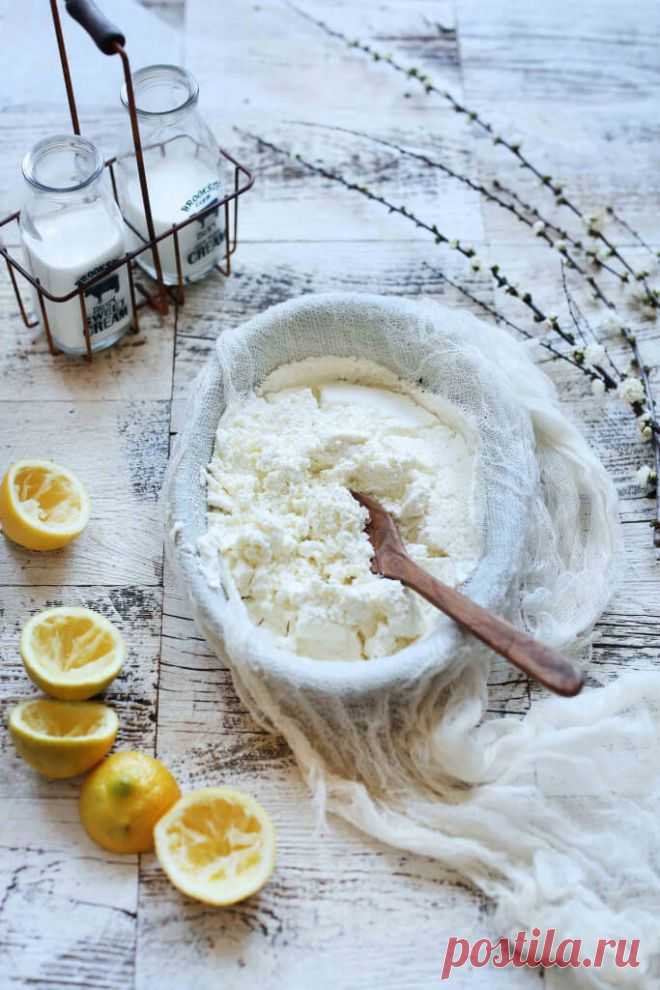 пофиг санкции - Домашний сыр рикотта: нежный вкус и очевидная экономия