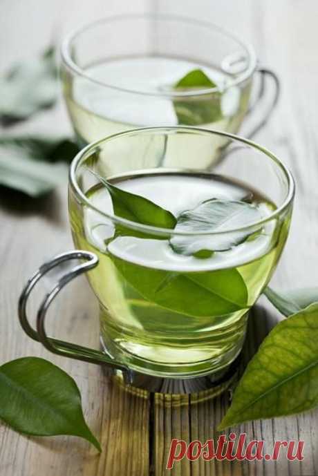 Как влияет на здоровье зеленый и черный чай