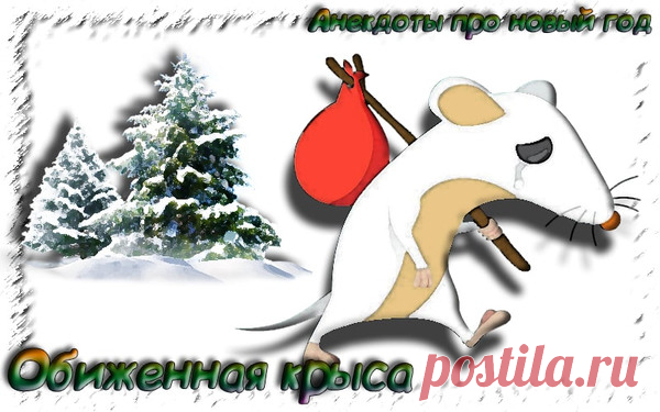 Обиженная крыса - Анекдоты про новый год 2019