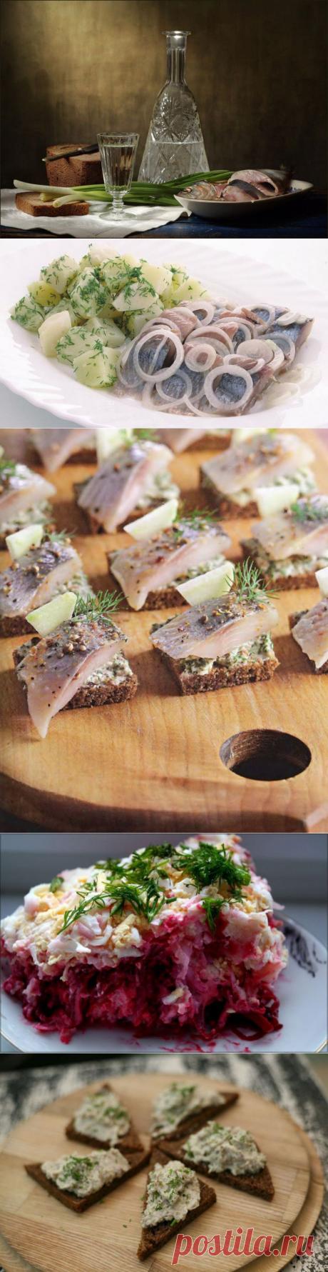 7 самых правильных способов использовать селедку | Мой отпуск - делимся впечатлениями!