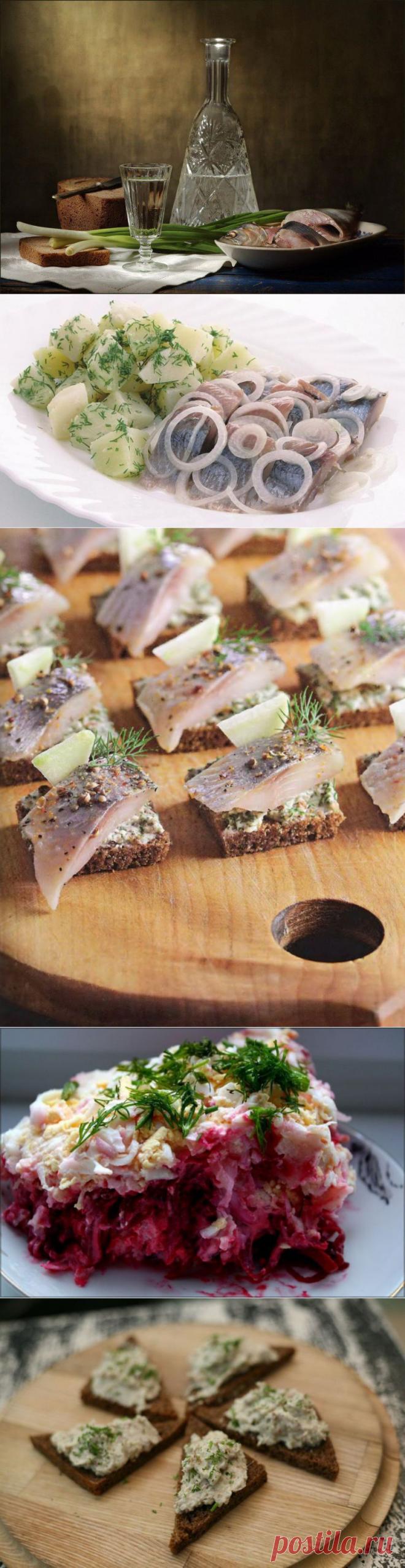 7 самых правильных способов использовать селедку | Мой отпуск - делимся впечатлениями!