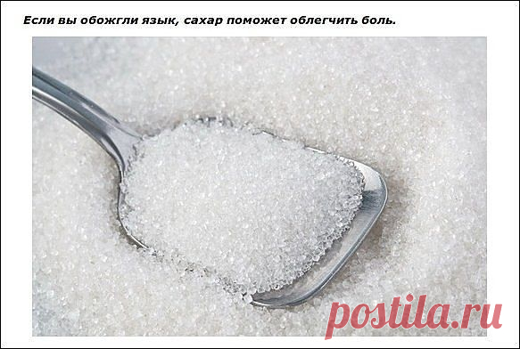 хозяйке на заметку - Самое интересное в блогах