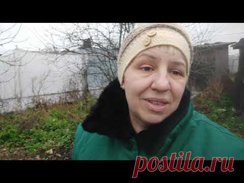 Вилы не лопата😂Урожай травы. Дочь купила квартиру 👍❤😊 Елена Ситникова