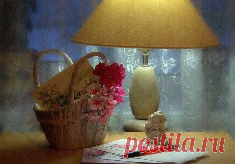 Марина Семченко. В доме должен быть кот. В доме должен быть плед...