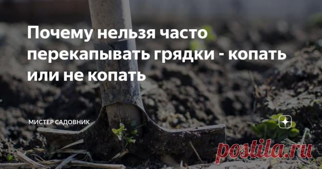 Почему нельзя часто перекапывать грядки - копать или не копать Очень многие огородники стараются каждый год перекапывать грядки, и порой не по разу.
А стоит ли  вообще это делать?  И чем это может помочь или навредить?
Ответ на этот вопрос, мы нашли у  опытных агрономов.
Перекапывать землю чаще одного раза в год - ВРЕДНО!