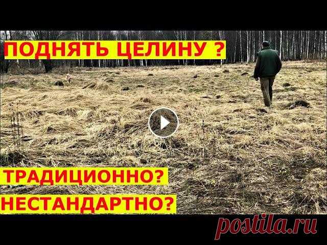Газон на целине, два способа. Газон на целине для ленивых.Акция магазина «Все инструменты. Ру» 