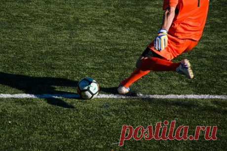 Олимпийский чемпион заявил о разработке российского аналога FIFA. Президент Всероссийской федерации фиджитал-спорта и олимпийский чемпион по спортивной гимнастике Никита Нагорный заявил о том, что российский аналог компьютерной игры FIFA уже разрабатывается. По его словам, этим занимается «Газпром». «Я знаю, что на разработку игры нужен не один год», — заявил Нагорный.