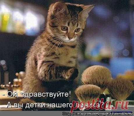 Котоматрицы))).
