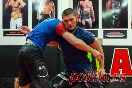 Нурмагомедов рассказал о цели на ближайшие десять лет. Российский боец MMA Хабиб Нурмагомедов раскрыл цель на ближайшие десять лет. Спортсмен заявил, что намерен поддерживать вес 93 килограмма ради работы тренером. «Хочу хорошо выглядеть на такой работе. Я сейчас в кэмпе с ребятами, хочу быть с ними вровень на кроссфите», — сказал он.
