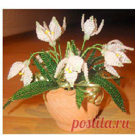 Одноклассники