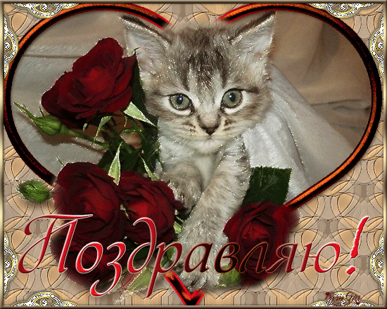 ПОЗДРАВЛЯЮ!