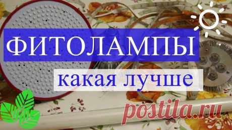 (6) Одноклассники