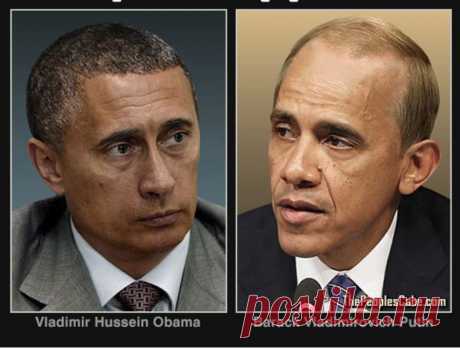 Переводика - Субботнее ассорти