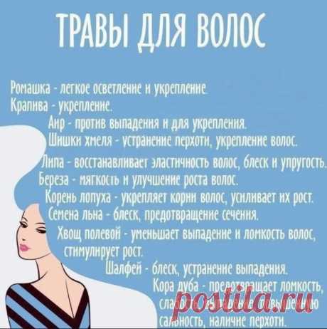 (4) Одноклассники