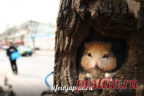 23-летняя студентка искусства, Ван Юэ, использует отверстия на стволах деревьев, как холст для её последних работ