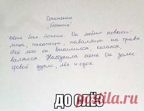 Новости