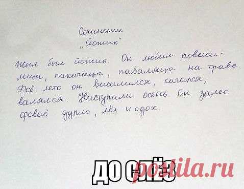 Новости